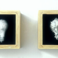 Shell Game Detail - 1994