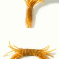 untitled Latex - 1994